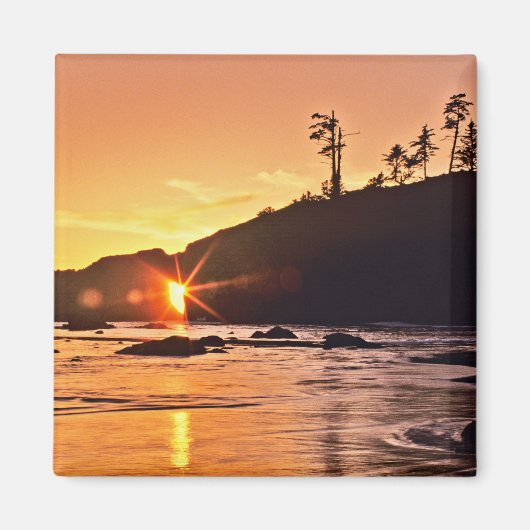 VS, staat Washington, Olympic National Park. 3 Magneet (Voorkant)
