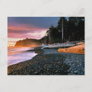 VS, staat Washington, Olympic NP. Golven spoelen t Briefkaart