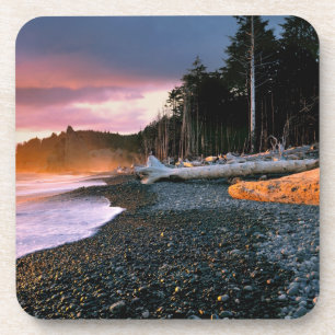 VS, staat Washington, Olympic NP. Golven spoelen t Drankjes Onderzetter
