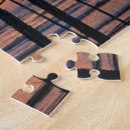 VS, staat Washington, Olympisch NP. Delicate Legpuzzel (Zijkant)