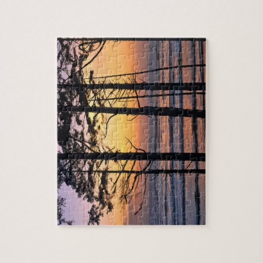 VS, staat Washington, Olympisch NP. Delicate Legpuzzel (Verticaal)