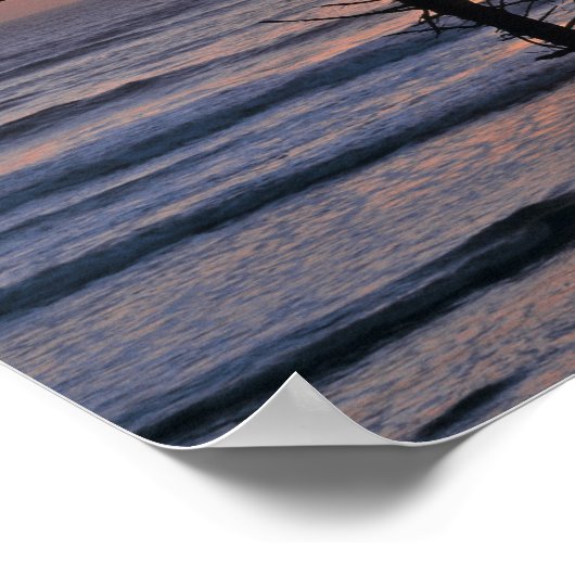 VS, staat Washington, Olympisch NP. Fijn Poster (Hoek)