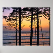 VS, staat Washington, Olympisch NP. Fijn Poster (Voorkant)