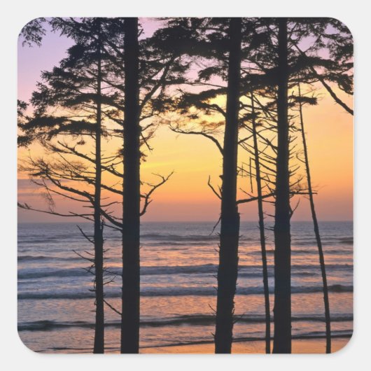 VS, staat Washington, Olympisch NP. Fijn Vierkante Sticker (Voorkant)