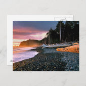 VS, staat Washington, Olympisch NP. Golven vallen  Briefkaart (Voorkant / Achterkant)