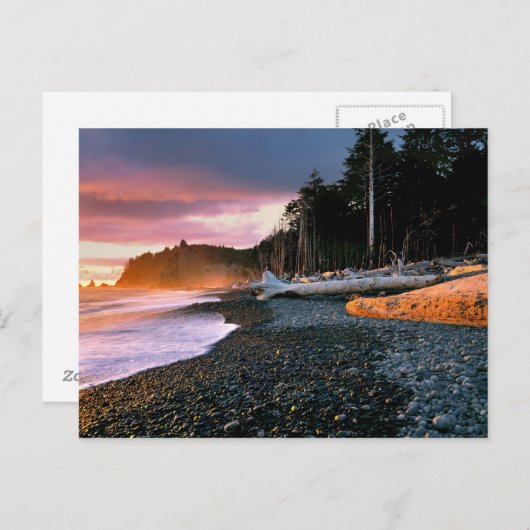 VS, staat Washington, Olympisch NP. Golven vallen  Briefkaart (Voorkant / Achterkant)