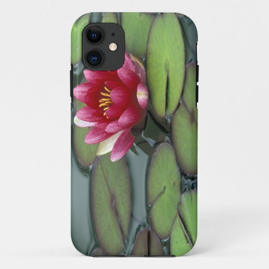 VS, staat Washington, Seattle. Waterlelie en Case-Mate iPhone Case (Achterkant)