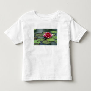VS, staat Washington, Seattle. Waterlelie en Kinder Shirts