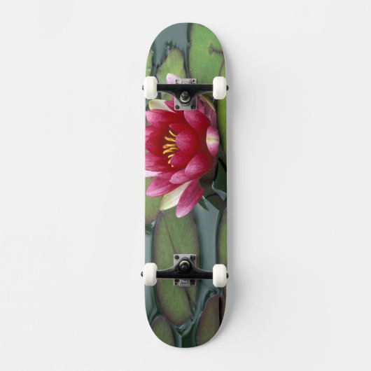 VS, staat Washington, Seattle. Waterlelie en Skateboard (Voorkant)