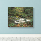 VS, Tennessee. Big South Fork National River Canvas Afdruk (Insitu (Houten vloer))