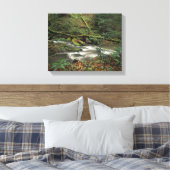 VS, Tennessee. Big South Fork National River Canvas Afdruk (Insitu (Slaapkamer))