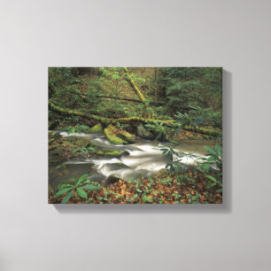 VS, Tennessee. Big South Fork National River Canvas Afdruk