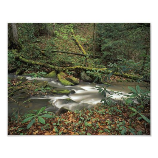 VS, Tennessee. Big South Fork National River Foto Afdruk (Voorkant)