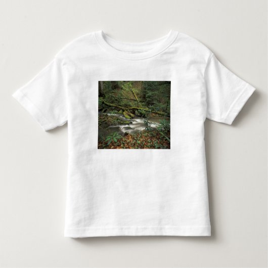 VS, Tennessee. Big South Fork National River Kinder Shirts (Voorkant)