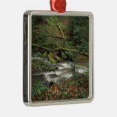 VS, Tennessee. Big South Fork National River Metalen Ornament (Rechts)
