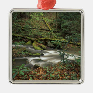 VS, Tennessee. Big South Fork National River Metalen Ornament