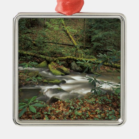VS, Tennessee. Big South Fork National River Metalen Ornament (Voorkant)