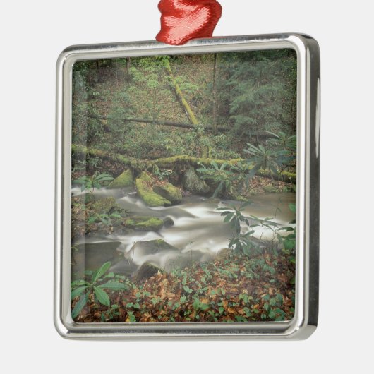 VS, Tennessee. Big South Fork National River Metalen Ornament (Links)