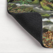 VS, Tennessee. Big South Fork National River Muismat (Hoek)