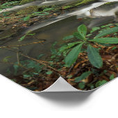 VS, Tennessee. Big South Fork National River Poster (Hoek)