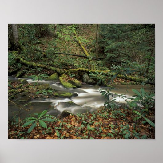 VS, Tennessee. Big South Fork National River Poster (Voorkant)