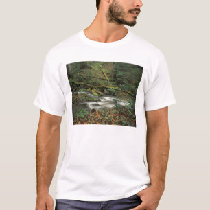 VS, Tennessee. Big South Fork National River T-shirt