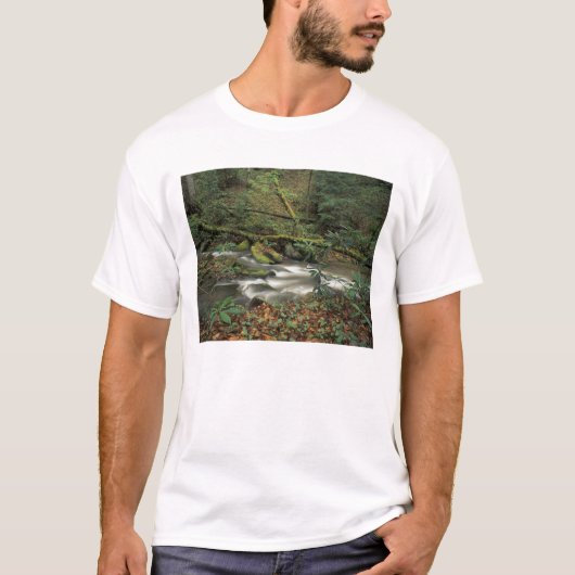 VS, Tennessee. Big South Fork National River T-shirt (Voorkant)