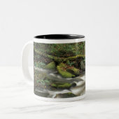 VS, Tennessee. Big South Fork National River Tweekleurige Koffiemok (Voorkant links)