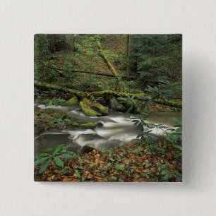 VS, Tennessee. Big South Fork National River Vierkante Button 5,1 Cm