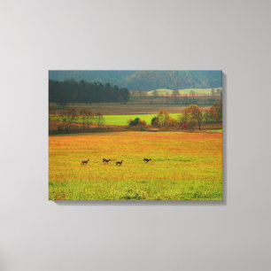 VS, Tennessee. Cades Cove in Smoky Mountain 2 Canvas Afdruk