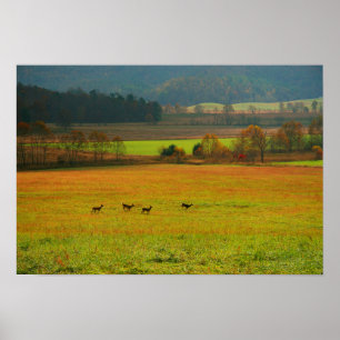 VS, Tennessee. Cades Cove in Smoky Mountain 2 Poster