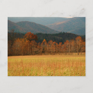 VS, Tennessee. Cades Cove in Smoky Mountain Briefkaart