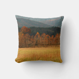 VS, Tennessee. Cades Cove in Smoky Mountain Kussen