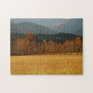 VS, Tennessee. Cades Cove in Smoky Mountain Legpuzzel