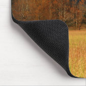 VS, Tennessee. Cades Cove in Smoky Mountain Muismat (Hoek)