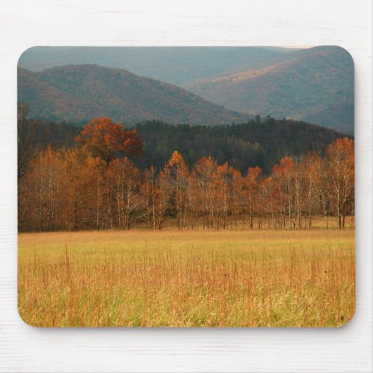 VS, Tennessee. Cades Cove in Smoky Mountain Muismat (Voorkant)
