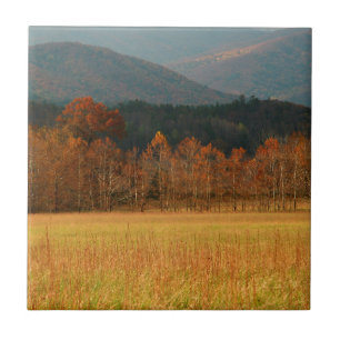 VS, Tennessee. Cades Cove in Smoky Mountain Tegeltje
