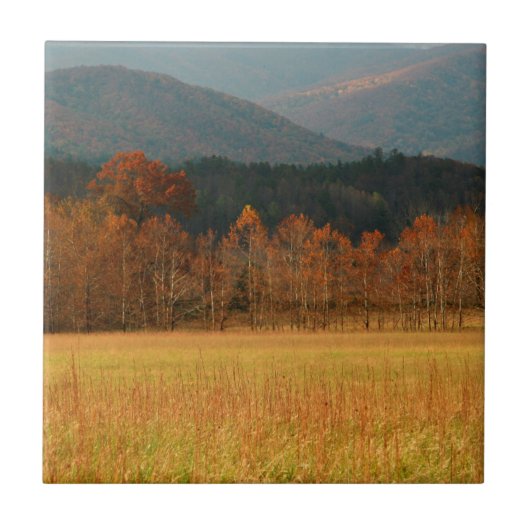 VS, Tennessee. Cades Cove in Smoky Mountain Tegeltje (Voorkant)