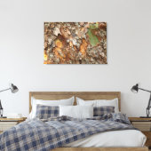 VS, Tennessee, Close-up van de bast op een boom Canvas Afdruk (Insitu (Slaapkamer))
