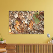 VS, Tennessee, Close-up van de bast op een boom Canvas Afdruk (Insitu (Woonkamer))