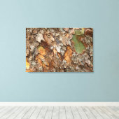 VS, Tennessee, Close-up van de bast op een boom Canvas Afdruk (Insitu (Houten vloer))