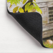 VS, Tennessee, Gatlinburg. Geweldig roky Muismat (Hoek)