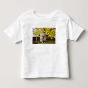 VS, Tennessee, Gatlinburg. Great Smoky Kinder Shirts