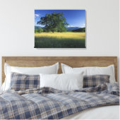 VS, Tennessee. Great Smokey Mountains 2 Canvas Afdruk (Insitu (Slaapkamer))