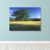 VS, Tennessee. Great Smokey Mountains 2 Canvas Afdruk (Insitu (Houten vloer))