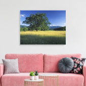 VS, Tennessee. Great Smokey Mountains 2 Canvas Afdruk (Insitu (Woonkamer))