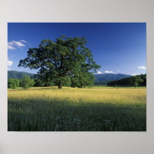 VS, Tennessee. Great Smokey Mountains 2 Poster