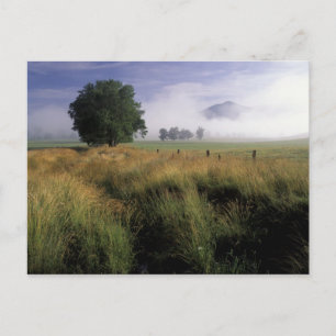 VS, Tennessee, Great Smokey Mountains Briefkaart