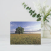 VS, Tennessee. Great Smokey Mountains Briefkaart (Staand voorkant)