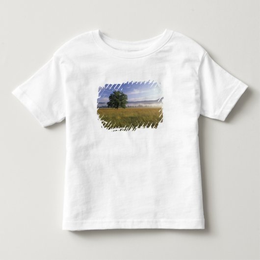 VS, Tennessee. Great Smokey Mountains Kinder Shirts (Voorkant)